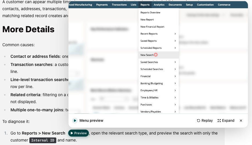 A NetSuite menu path with a Preview button in a Cadbury answer