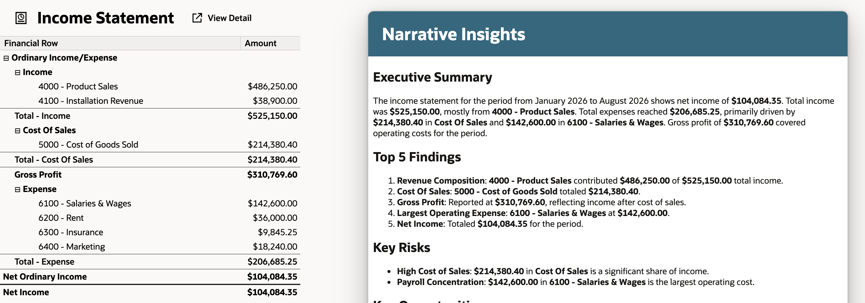 Executive Summary sentence saying total expenses reached $206,685.25, primarily driven by $214,380.40 in Cost Of Sales, with a red arrow at the $214,380.40 figure and the report on the left.