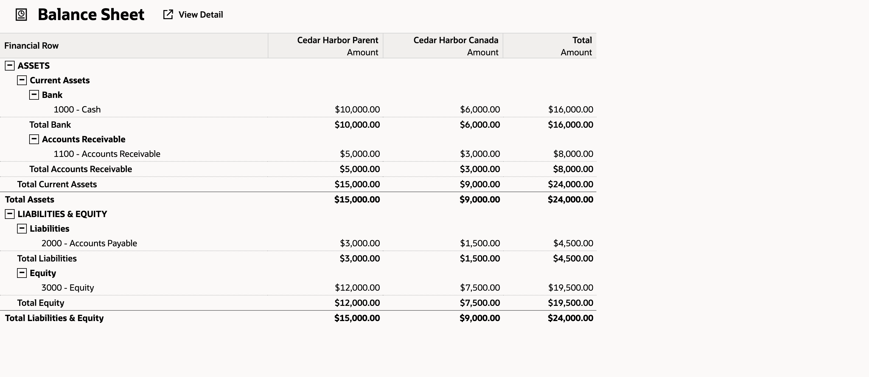 The consolidated report separates subsidiary contributions and shows $24,000 Total Assets.