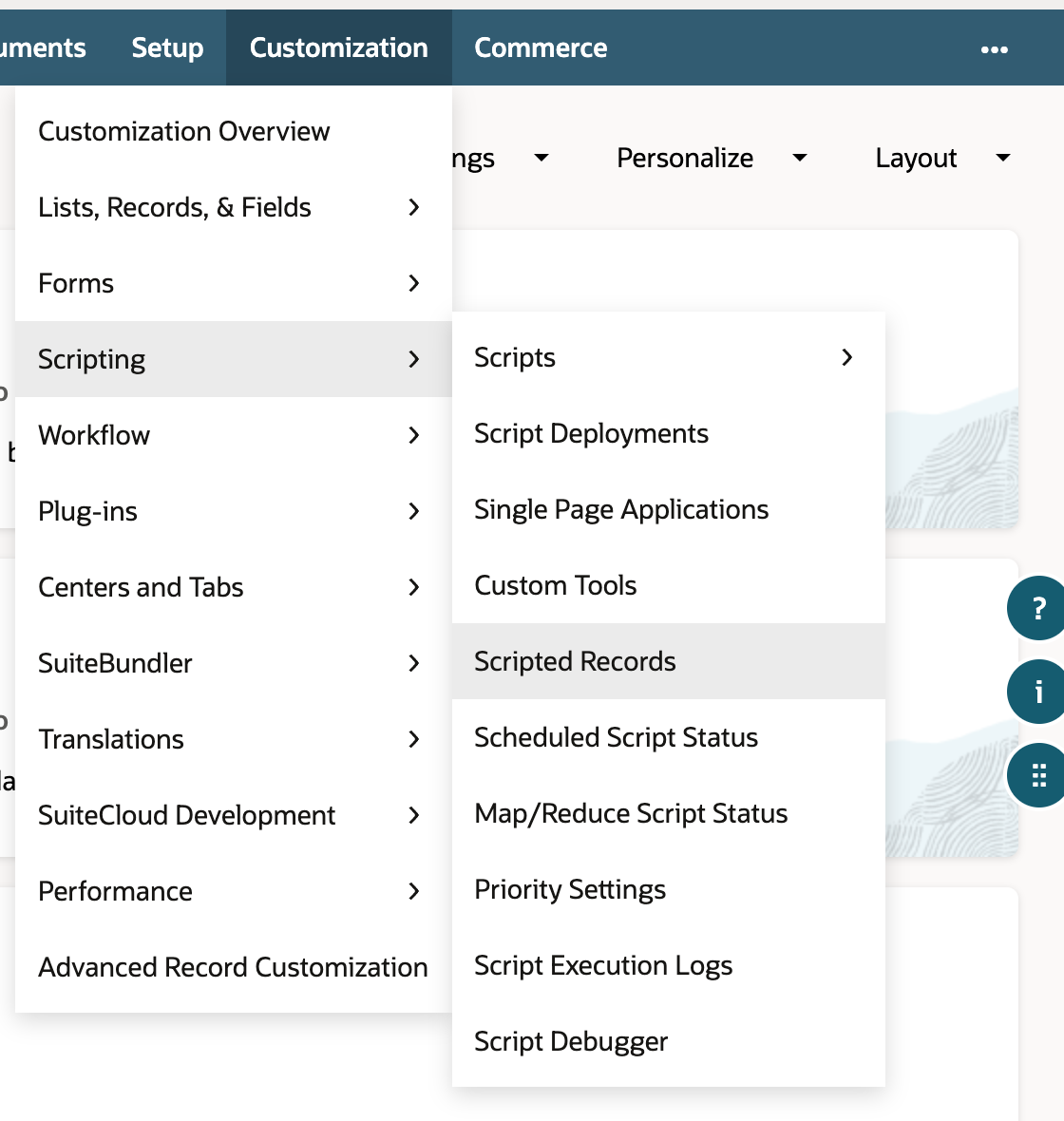 Customization menu with Scripting expanded. The Scripting submenu lists Scripts, Script Deployments, Single Page Applications, Custom Tools, Scripted Records, Scheduled Script Status and more.