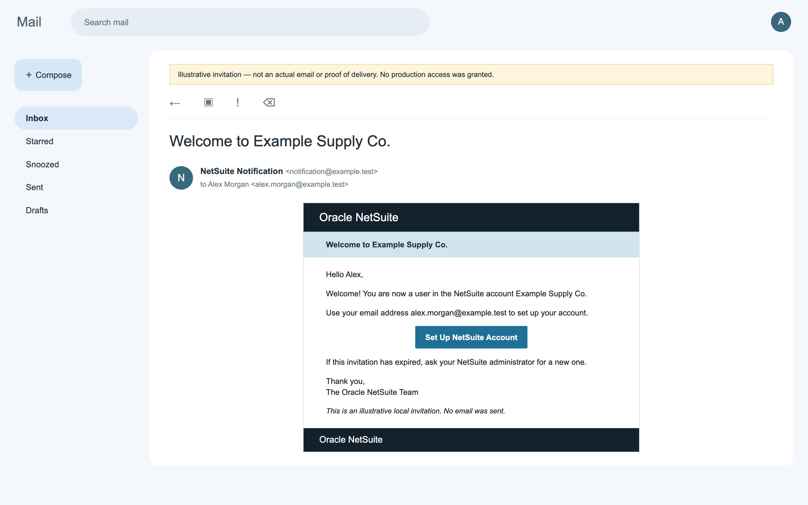 Illustrative NetSuite invitation for Alex Morgan at Example Supply Co.