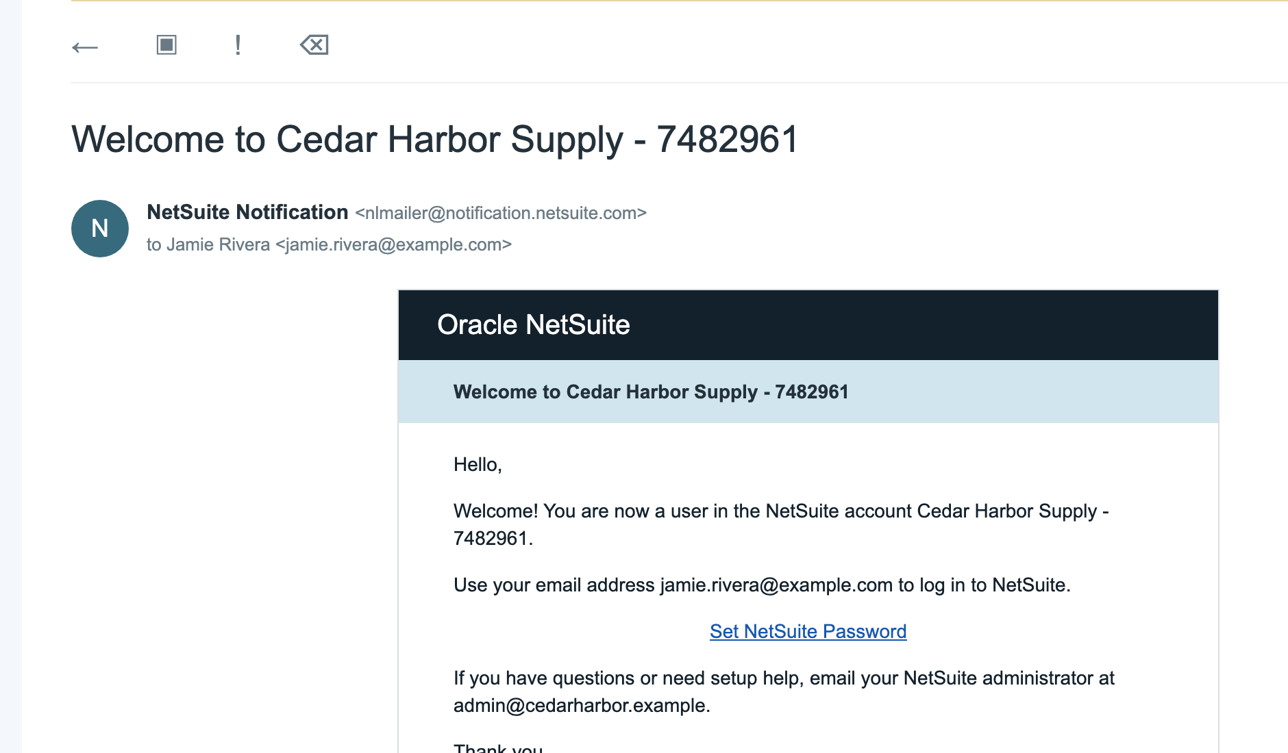 The sample invitation explains password setup without proving delivery.