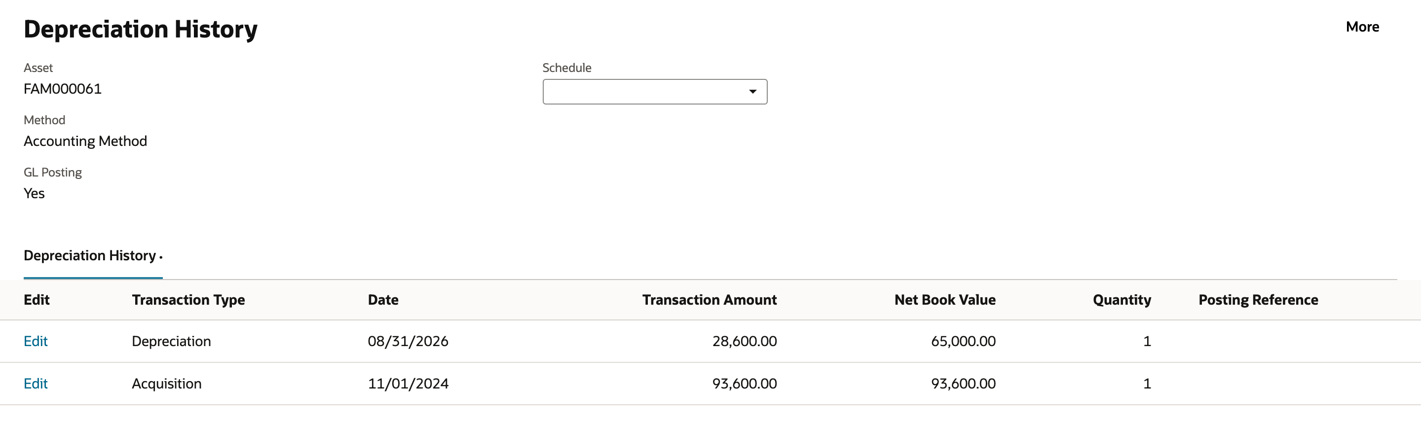 Depreciation History for FAM000061 before the precompute: Depreciation 08/31/2026, Transaction Amount 28,600.00, Net Book Value 65,000.00, and Acquisition 11/01/2024, 93,600.00, both with a blank Posting Reference.