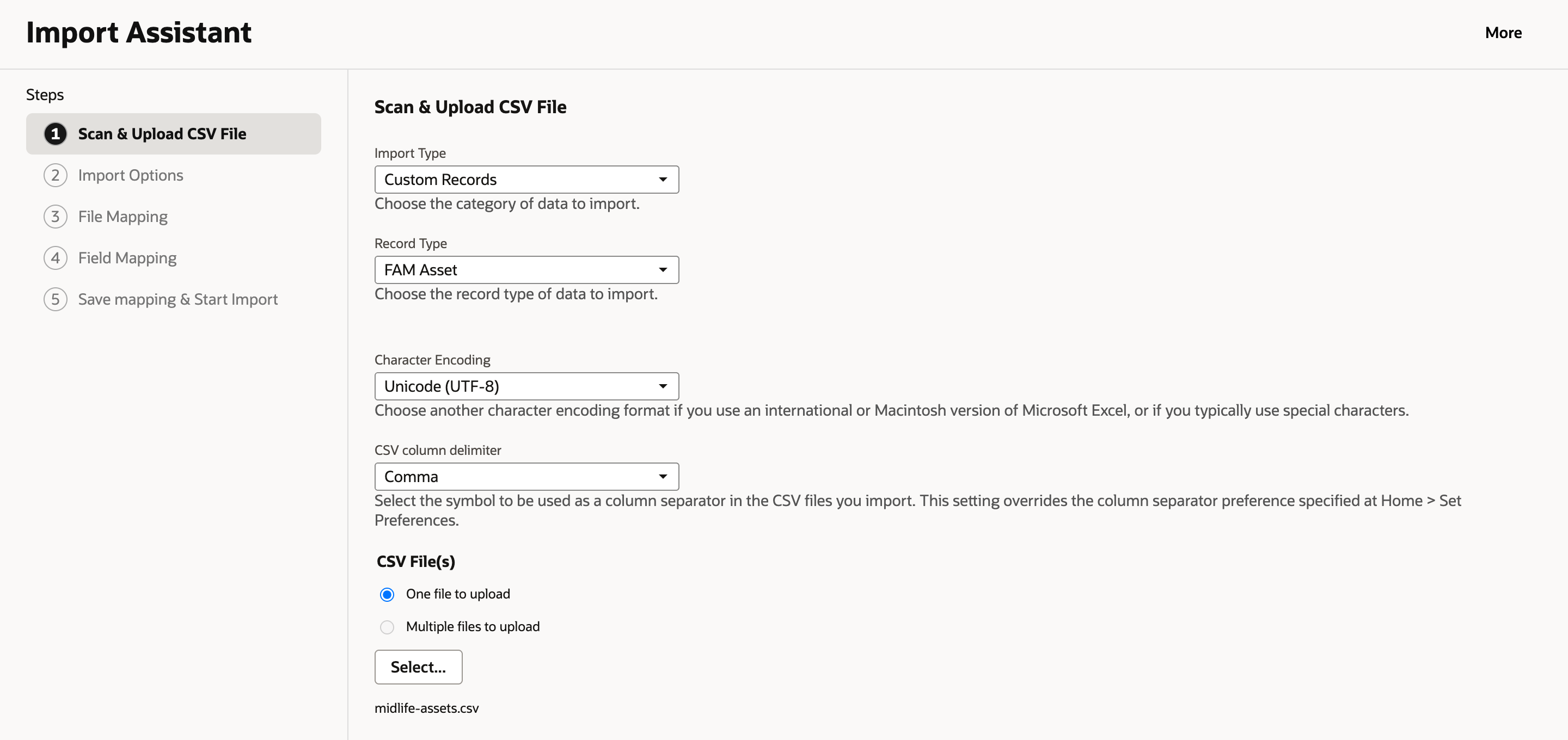 Import Assistant, Scan & Upload CSV File: Import Type Custom Records, Record Type FAM Asset, Character Encoding Unicode (UTF-8), CSV column delimiter Comma, file midlife-assets.csv selected.