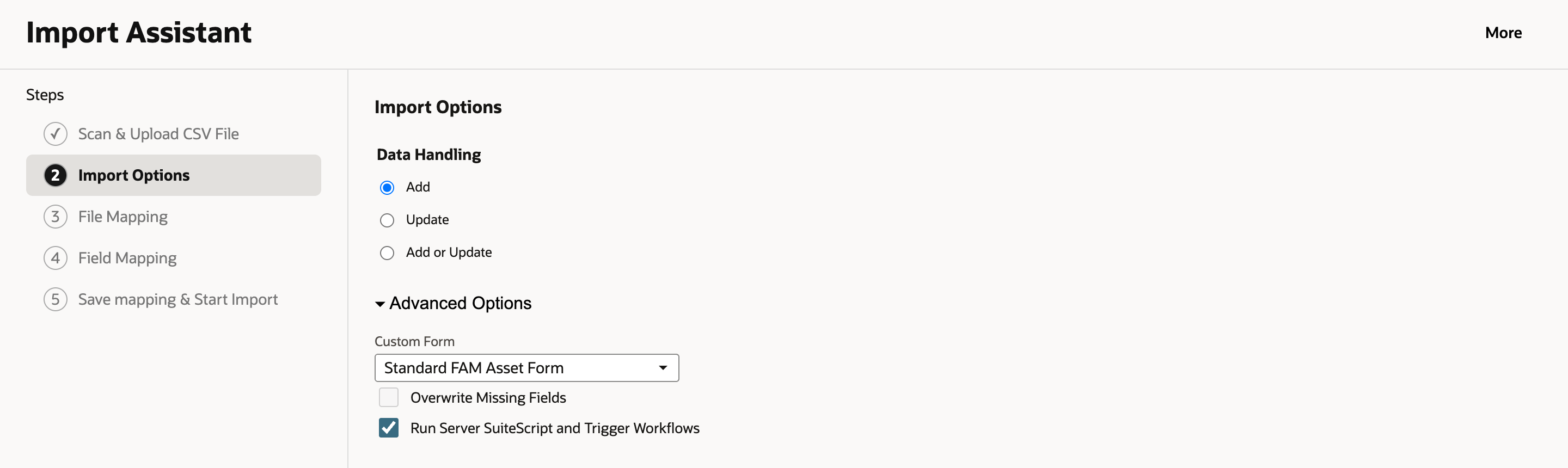 Import Options: Data Handling Add selected; Advanced Options expanded with Custom Form Standard FAM Asset Form, Overwrite Missing Fields cleared, and Run Server SuiteScript and Trigger Workflows checked.