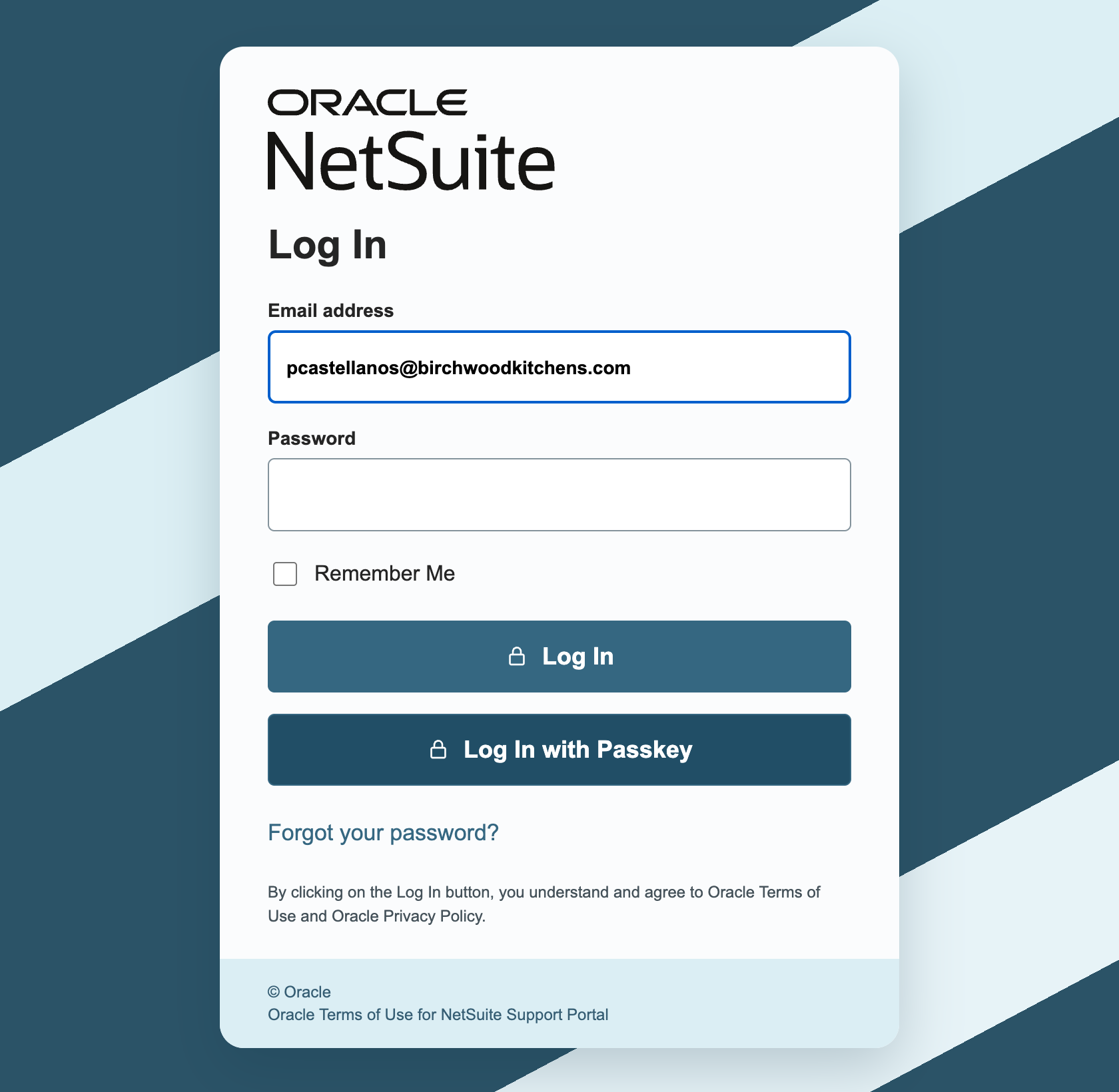The NetSuite Log In page with an email address in Email address, an empty Password field, and the Log In and Log In with Passkey buttons, with a red arrow pointing at Log In with Passkey.
