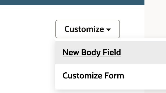 Create a body field from the Sales Order’s Customize menu.